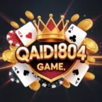 Qaidi804